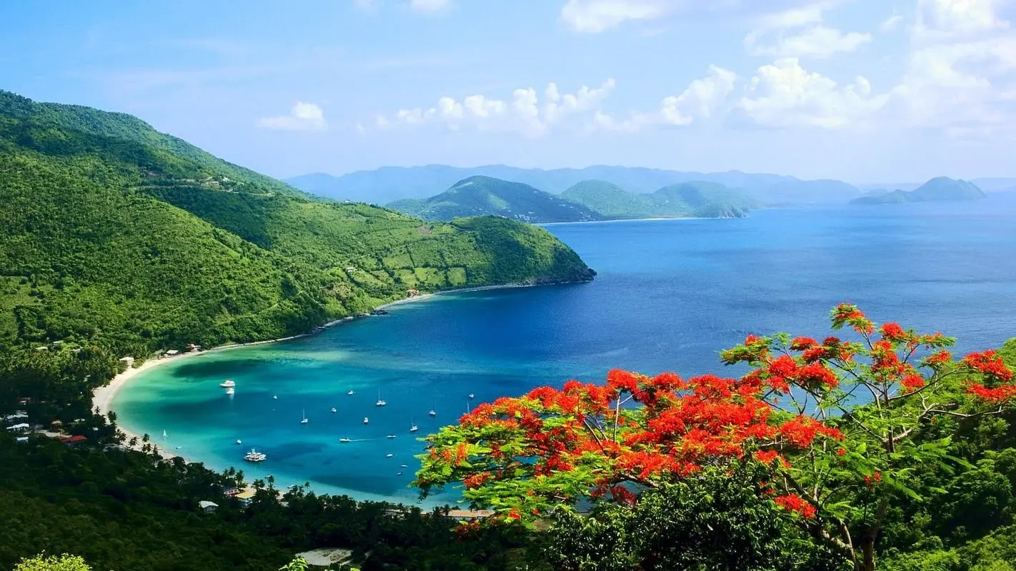 高效智能化全自动